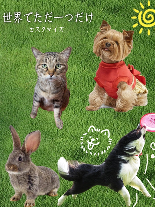 Snugglesnoutについて(ABOUT US)