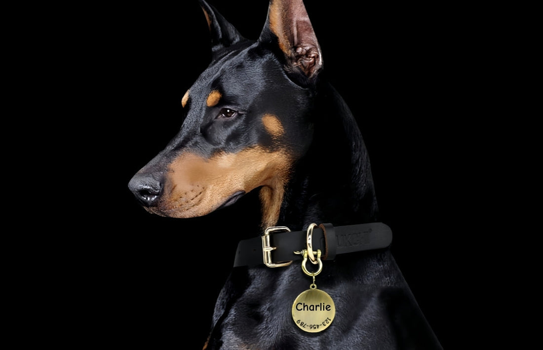 よくあるご質問(FAQ)