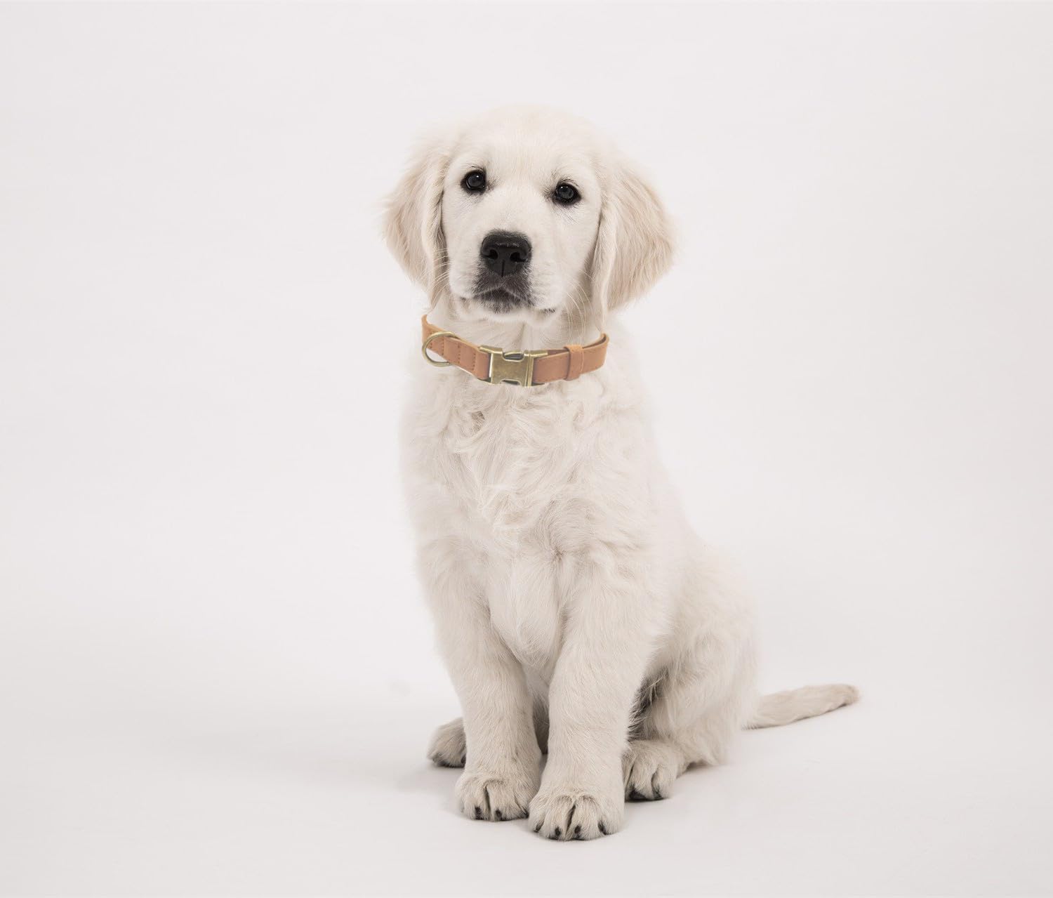 THAIN 犬 首輪 ベーシック 犬首輪 革 おしゃれ かわいい 犬の首輪 いぬくびわ 金属製バックル 中大型犬用首輪 (ダークブルー, L)