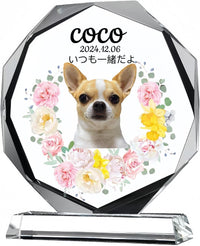 クリスタル位牌 ペット お位牌 写真入り・UV印刷対応メッセージ刻印可 – ペット位牌 猫 犬 メモリアルグッズ ペット供養 ペットロス