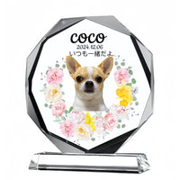 クリスタル位牌 ペット お位牌 写真入り・UV印刷対応メッセージ刻印可 – ペット位牌 猫 犬 メモリアルグッズ ペット供養 ペットロス