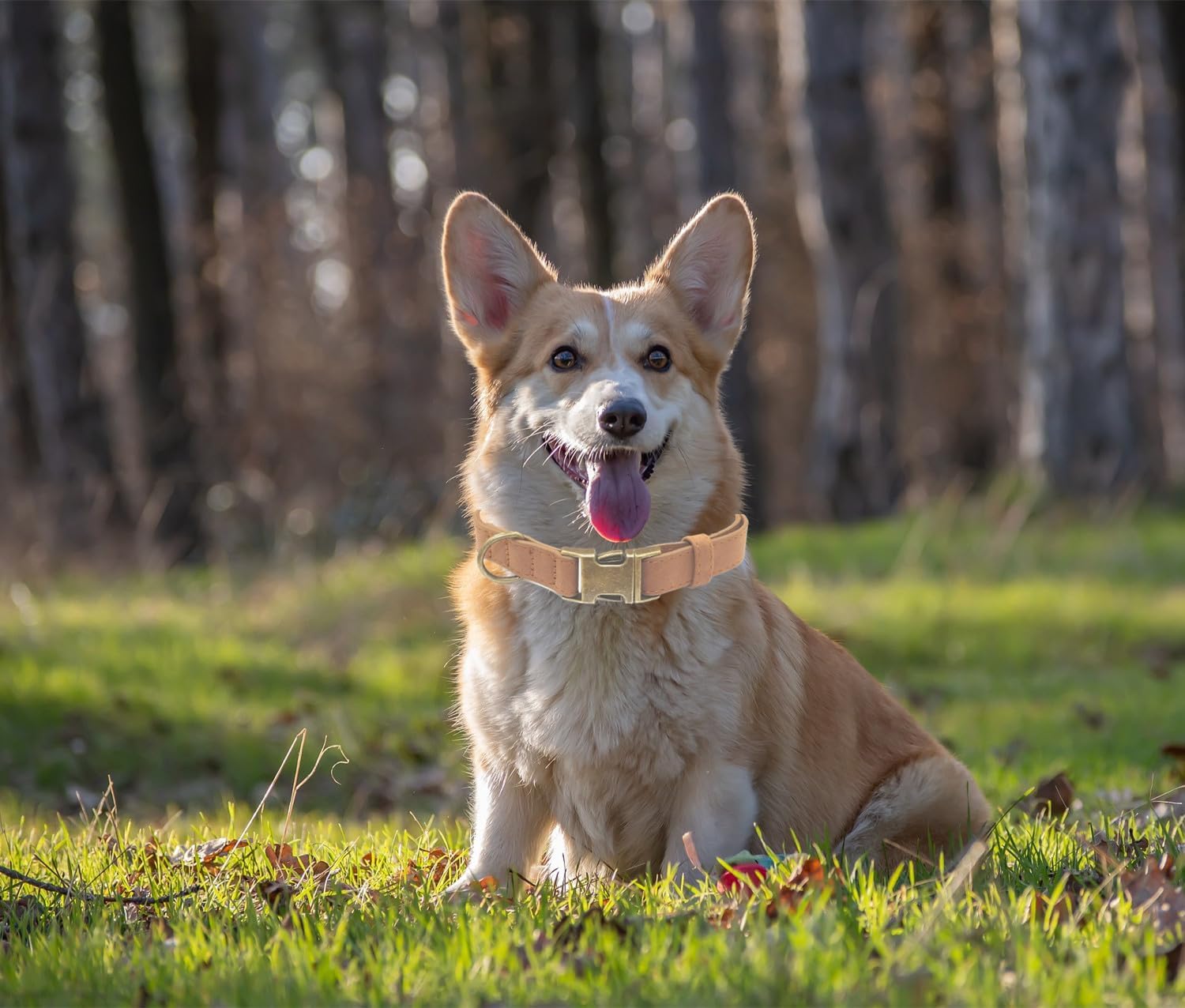 THAIN 犬 首輪 ベーシック 犬首輪 革 おしゃれ かわいい 犬の首輪 いぬくびわ 金属製バックル 中大型犬用首輪 (ダークブルー, L)