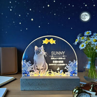 花柄 フォトプレート オーダーメイド ペットメモリアル アクリルスタンド 愛犬 愛猫 ボタニカル USB光る木製スタンド付き 写真立て 名前入れ 遺影 仏具 位牌 お悔み 贈り物 メッセージ入れ UV印刷 犬 猫 供養 記念 ギフト