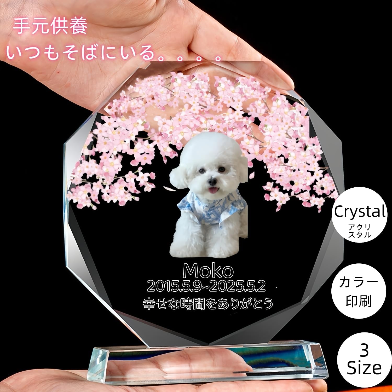 クリスタル位牌 ペット お位牌 写真入り・UV印刷対応メッセージ刻印可 – ペット位牌 猫 犬 メモリアルグッズ ペット供養 ペットロス