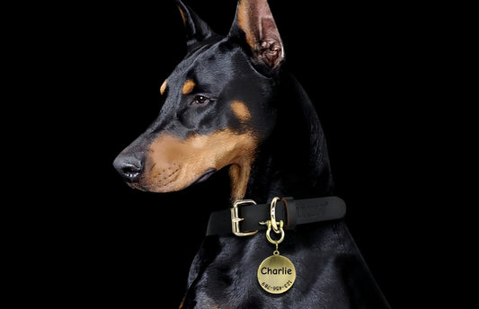 よくあるご質問（FAQ）