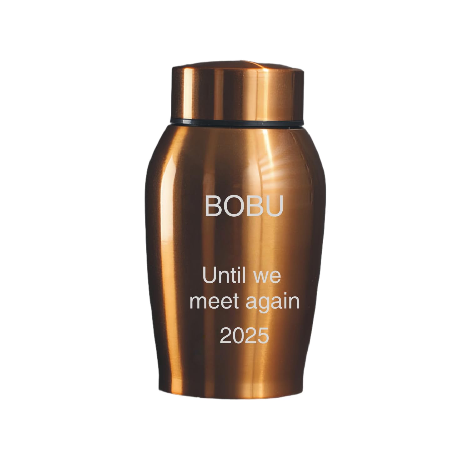 ペット用骨壷 ステンレス製 名入れ刻印無料 犬 猫 手元供養 遺骨入れ 日付 永久保存 メモリアルグッズ 分骨 納骨容器 彫刻 爪跡デザイン 位牌 供養 弔い カラフル 記念品 お別れ 家族 装飾