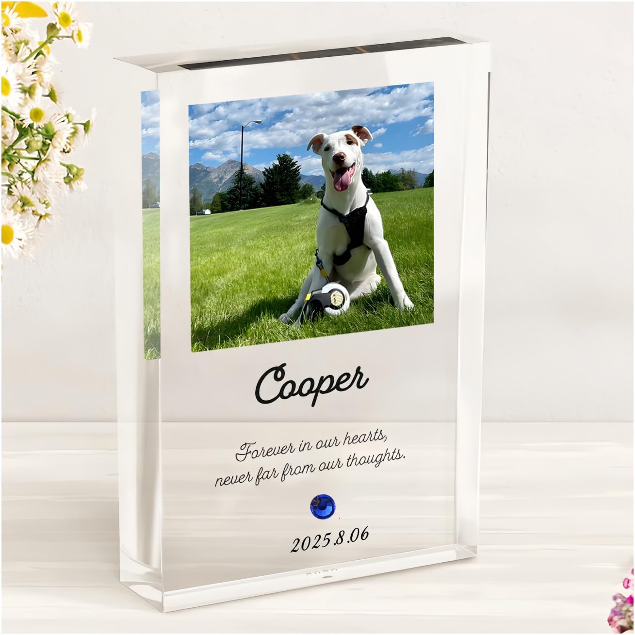 [オーダーメイド ] ペット フォトフレーム 名入れ 写真印刷 誕生石付き メモリアルグッズ 愛犬 愛猫 遺影 ギフト 写真 お悔み 贈り物 ペットグッズ 仏具 位牌 ペット供養 記念 ペットロス 写真立て