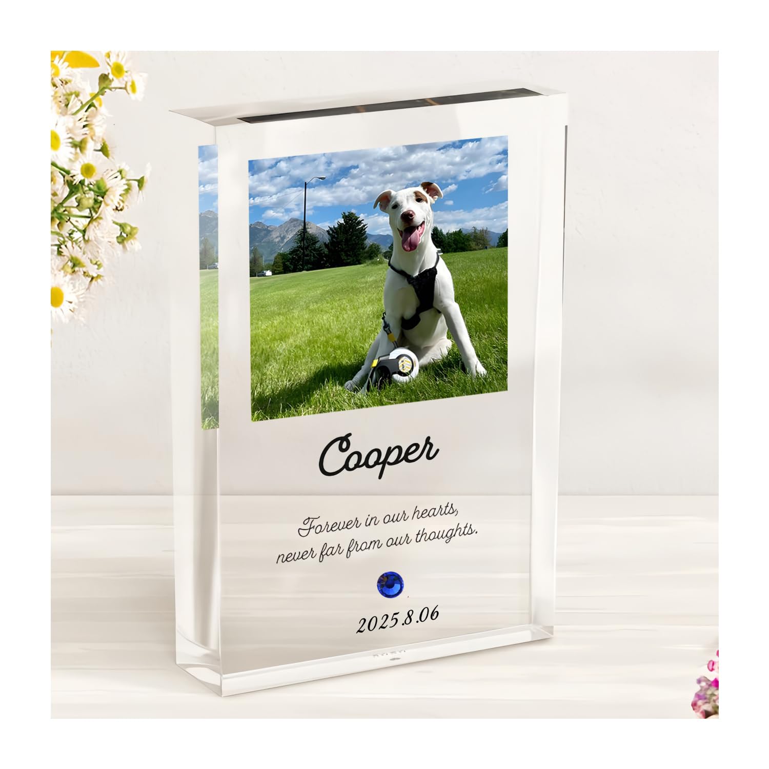 [オーダーメイド ] ペット フォトフレーム 名入れ 写真印刷 誕生石付き メモリアルグッズ 愛犬 愛猫 遺影 ギフト 写真 お悔み 贈り物 ペットグッズ 仏具 位牌 ペット供養 記念 ペットロス 写真立て