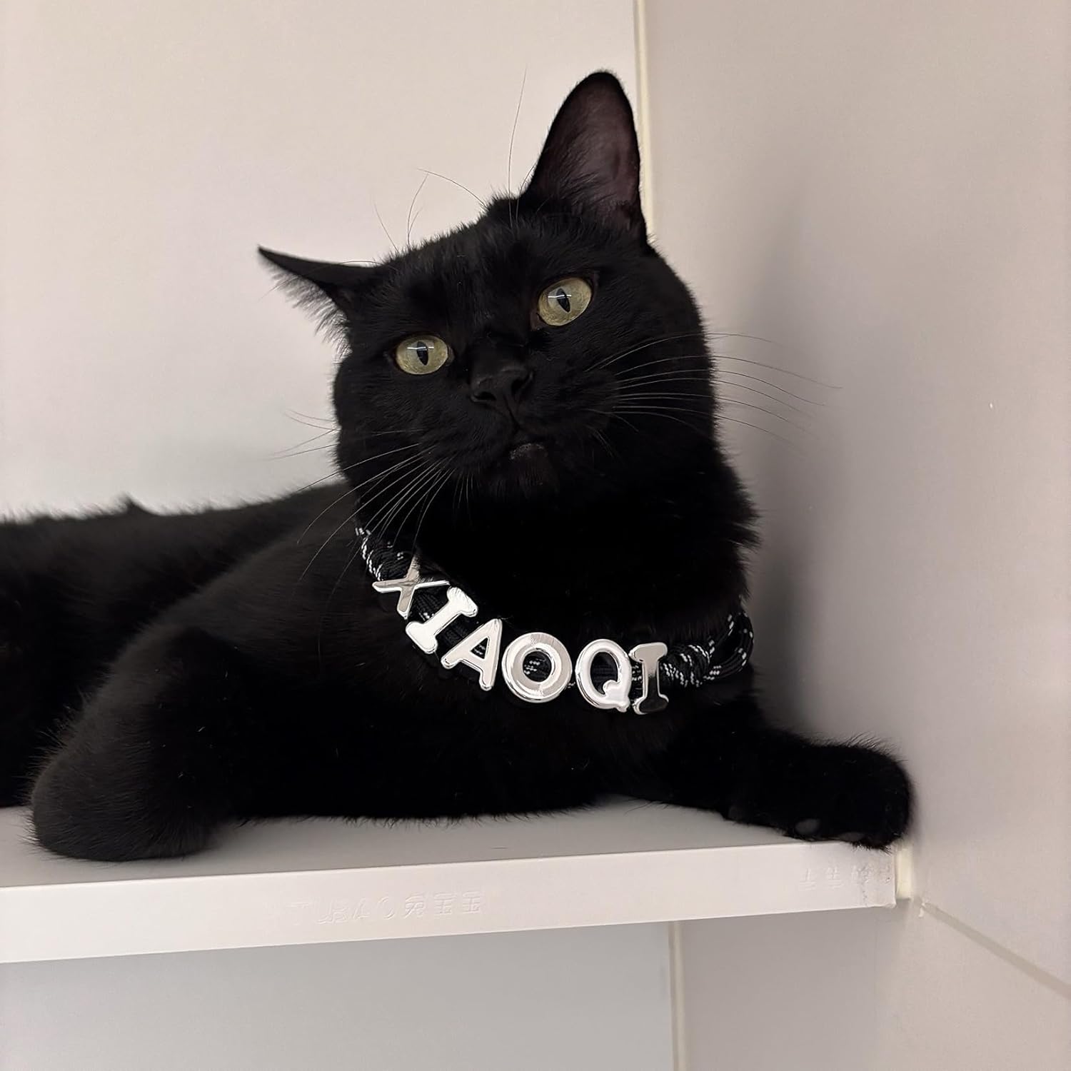 ペット首輪 名入れ 犬 猫 パーソナライズ ネックレス アクリル ビーズ 金属バックル付き 小型犬 中型犬 大型犬 猫用 調整可能 快適 軽量 おしゃれ 可愛い ギフト プレゼント 誕生日 バレンタイン 黒 白