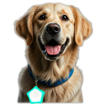 [snuggle snout] 犬猫用 ペンダントライト LED 充電式 ペット お散歩ライト 夜間 散歩用 犬の安全のために 首輪 光る キラキラ 防水 調節可能 簡潔 軽い ペット用品 超小型犬 中型犬 超大型犬に対応
