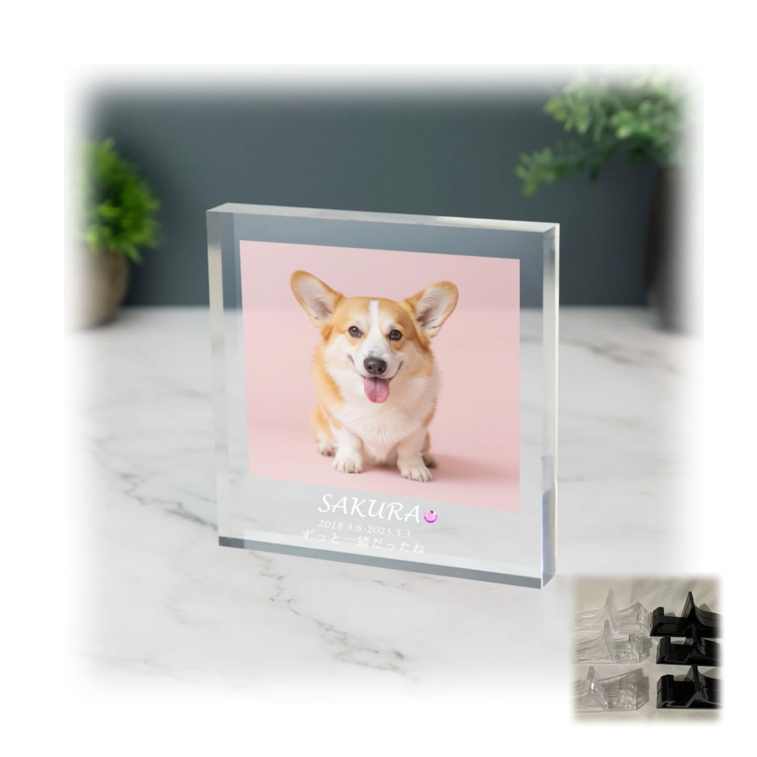 光る ペット フォトフレーム カスタム写真印刷 木製USB発光スタンド付き レーザー彫刻・誕生石はめ込み アクリル製 犬 猫 メモリアルギフト