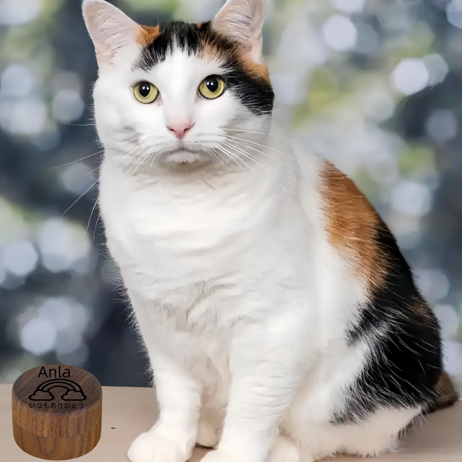 メモリアルケース ミニ骨壷 名前刻印 ペット用 犬 猫 分骨用ケース 木製 遺骨収納ケースペット仏具