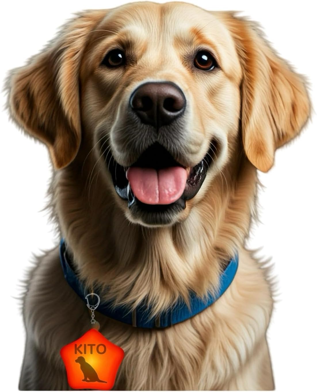 犬猫用 ペンダントライト LED 充電式 ペット お散歩ライト 名前 刻印 夜間 散歩用 犬の安全のために 首輪 光る 迷子札 キラキラ 防水 調節可能 簡潔 軽い ペット用品 超小型犬 中型犬 超大型犬に対応