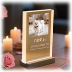 光る ペット フォトフレーム カスタム写真印刷 木製USB発光スタンド付き レーザー彫刻・誕生石はめ込み アクリル製 犬 猫 メモリアルギフト
