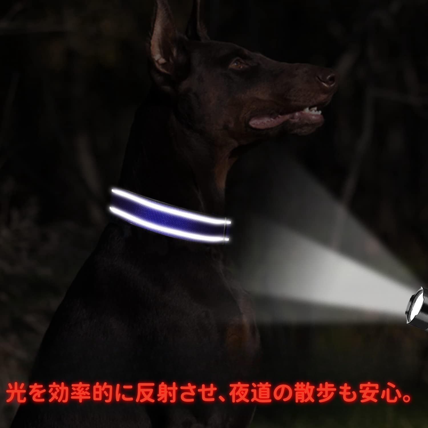犬首輪 犬 首輪 反射 名入れ 刻印 夜 散歩 ベーシック首輪 ナイロン サイズ調節可能 ペット用品 発光 猫 犬の首輪 犬用訓練首輪 迷子札 小型、中型、大型犬用メッシュ素材 超軽量 通気パッド おしゃれ かわいい レザー彫刻