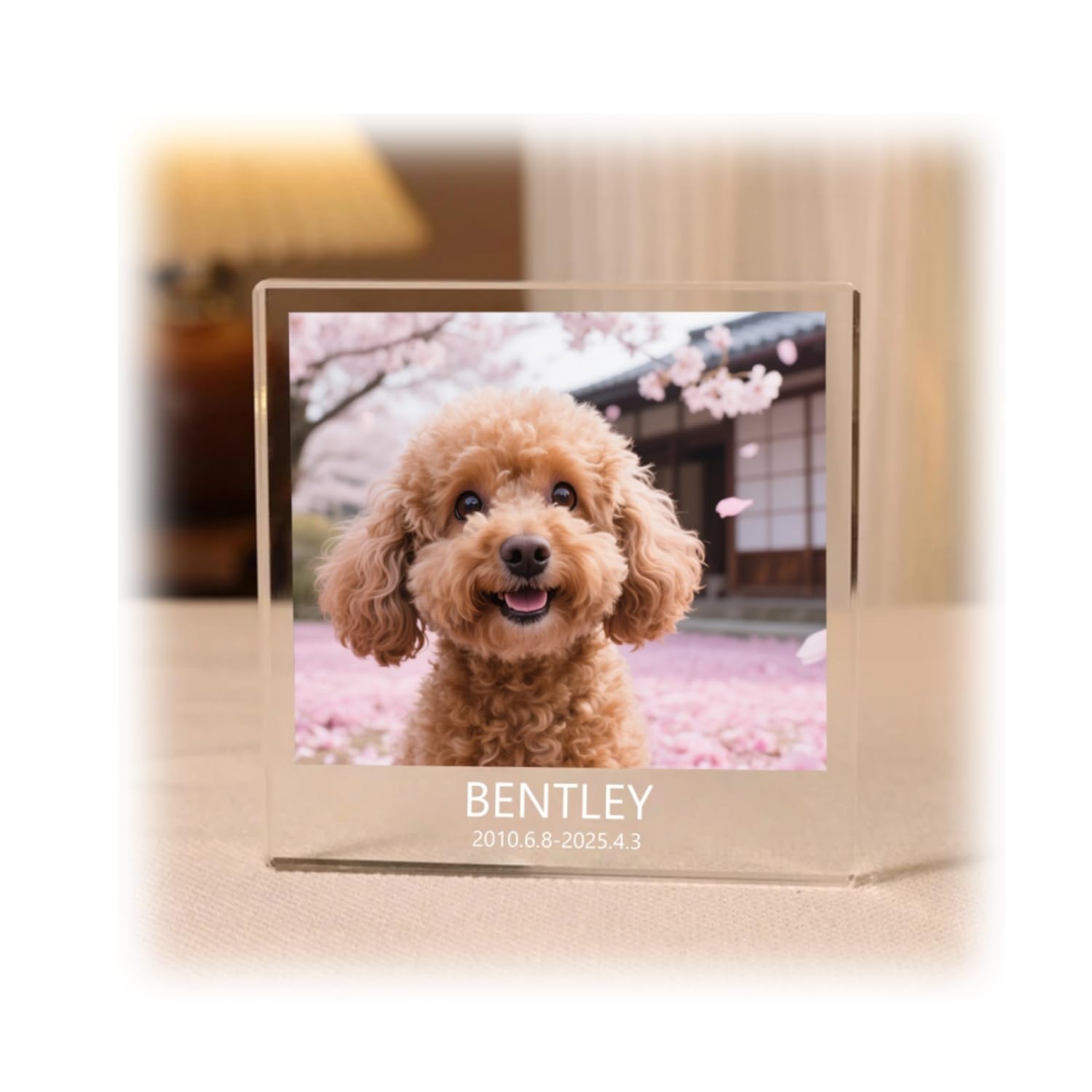 名入れ ペット メモリアルフォトフレーム オーダーメイド 写真立て アクリル製スタンド付き 犬・猫供養用 位牌 仏壇 遺影 ギフト 3サイズ｜愛犬 愛猫 記念 メモリアルグッズ