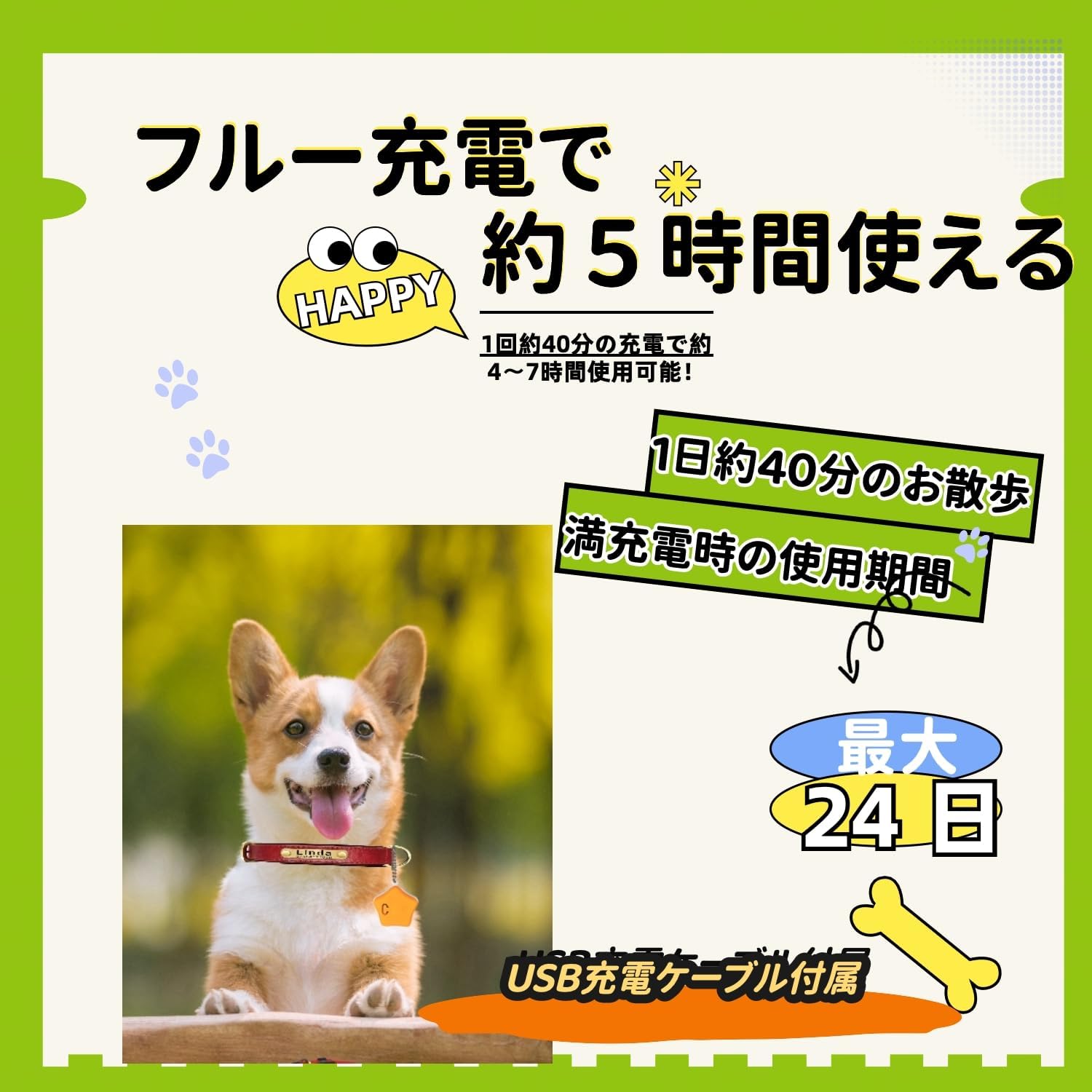 犬猫用 ペンダントライト LED 充電式 ペット お散歩ライト 名前 刻印 夜間 散歩用 犬の安全のために 首輪 光る 迷子札 キラキラ 防水 調節可能 簡潔 軽い ペット用品 超小型犬 中型犬 超大型犬に対応