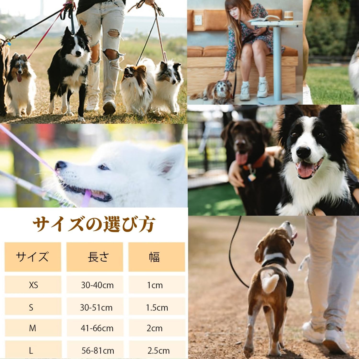 ハーネス 名入れ 迷子防止 無料刺繍サービス 犬 猫 胴輪 名前 電話番号 調節可能 喉に優しい ソフト超軽量 通気性良好 ナイロン製 抜けない 訓練 犬用ハーネス 柴犬 トイプードル 小型犬 中型犬 大型犬 13色