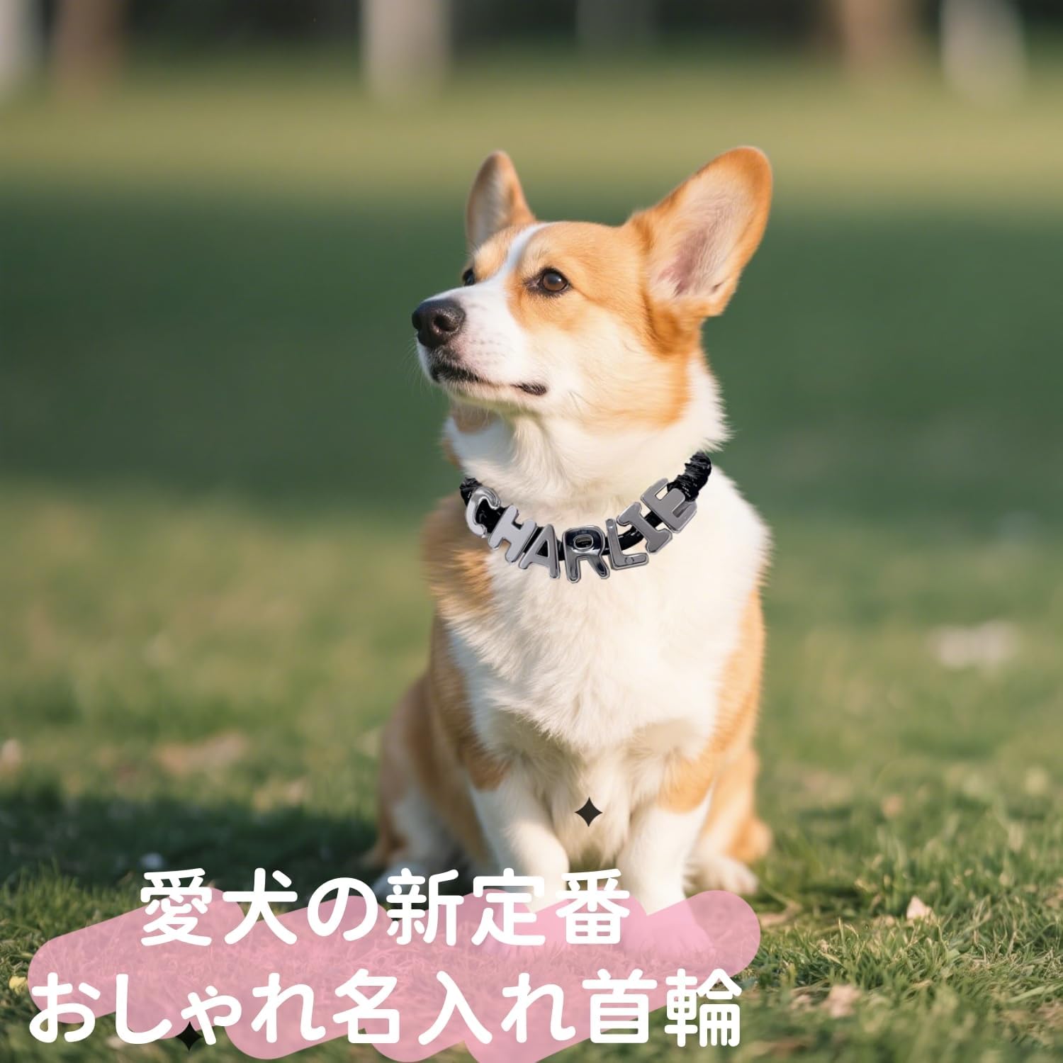 ペット首輪 名入れ 犬 猫 パーソナライズ ネックレス アクリル ビーズ 金属バックル付き 小型犬 中型犬 大型犬 猫用 調整可能 快適 軽量 おしゃれ 可愛い ギフト プレゼント 誕生日 バレンタイン 黒 白