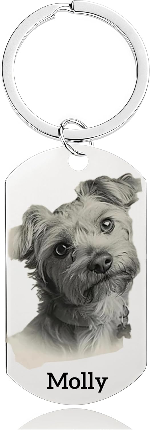 迷子札 ペット用 軽量 カスタムオーダー 犬 猫 肖像刻印 かわいいシンボル IDタグ 迷子防止 両面名札 キーホルダー付き プレゼント 首輪アクセサリー ステンレス製