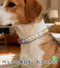 オーダーメイド 犬 首輪 ペットネックレス 名前入りチャーム ビーズ 迷子札 小型、中型、大型犬用首輪 猫 うさぎにも対応 調節可能 レザーバックル おしゃれ ギフト