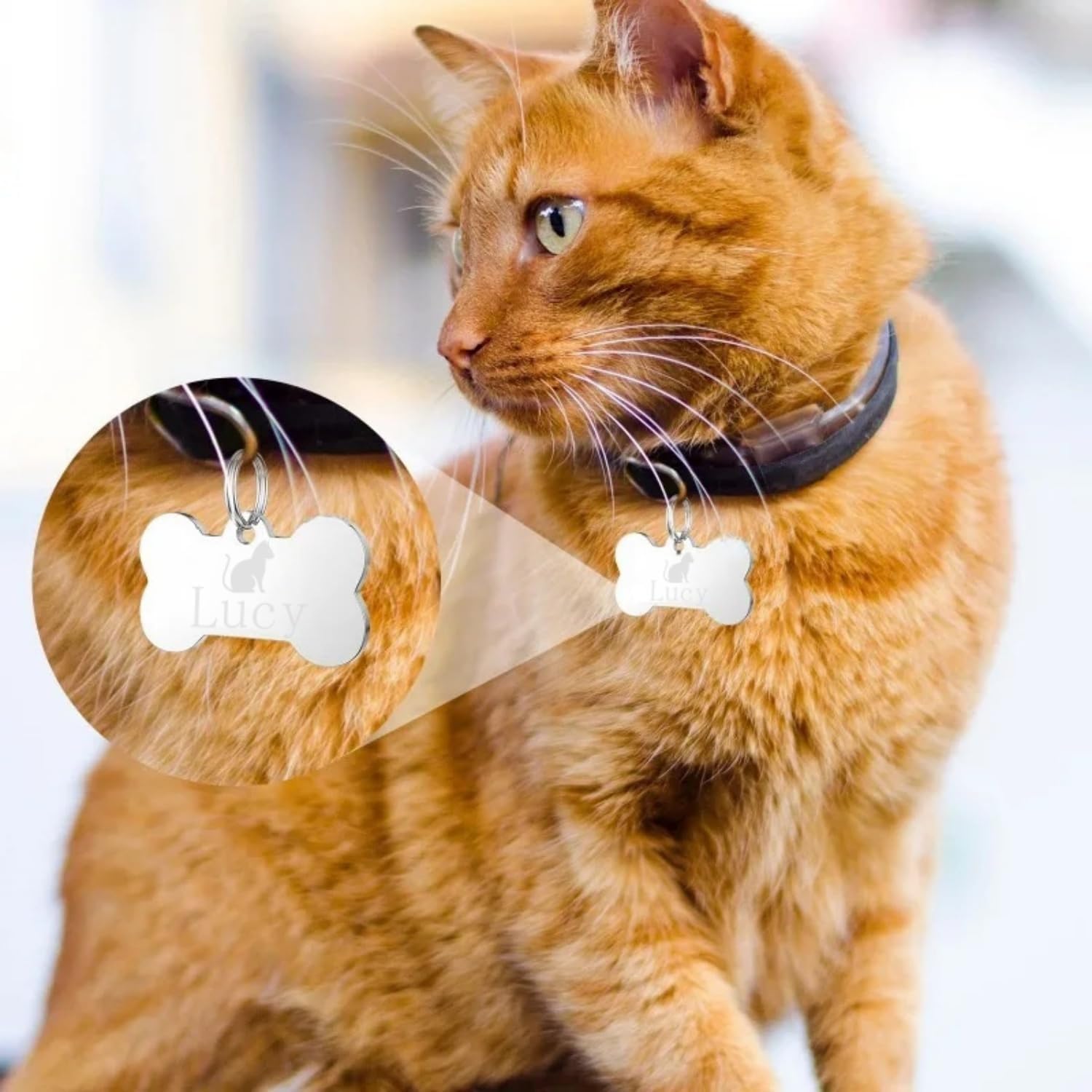 [snuggle snout] ネームプレート 犬 迷子札 骨型 プレート 首輪 キーホルダー ネームタグ 名入れ 刻印 印字 真鍮 犬用 猫 猫用 小型犬 中型犬 大型犬 チャーム ペット アクセサリー ドッグタグ 名札 名前入り 彫刻 金属 ゴールド シルバー 名前 誕生日 プレゼント おしゃれ