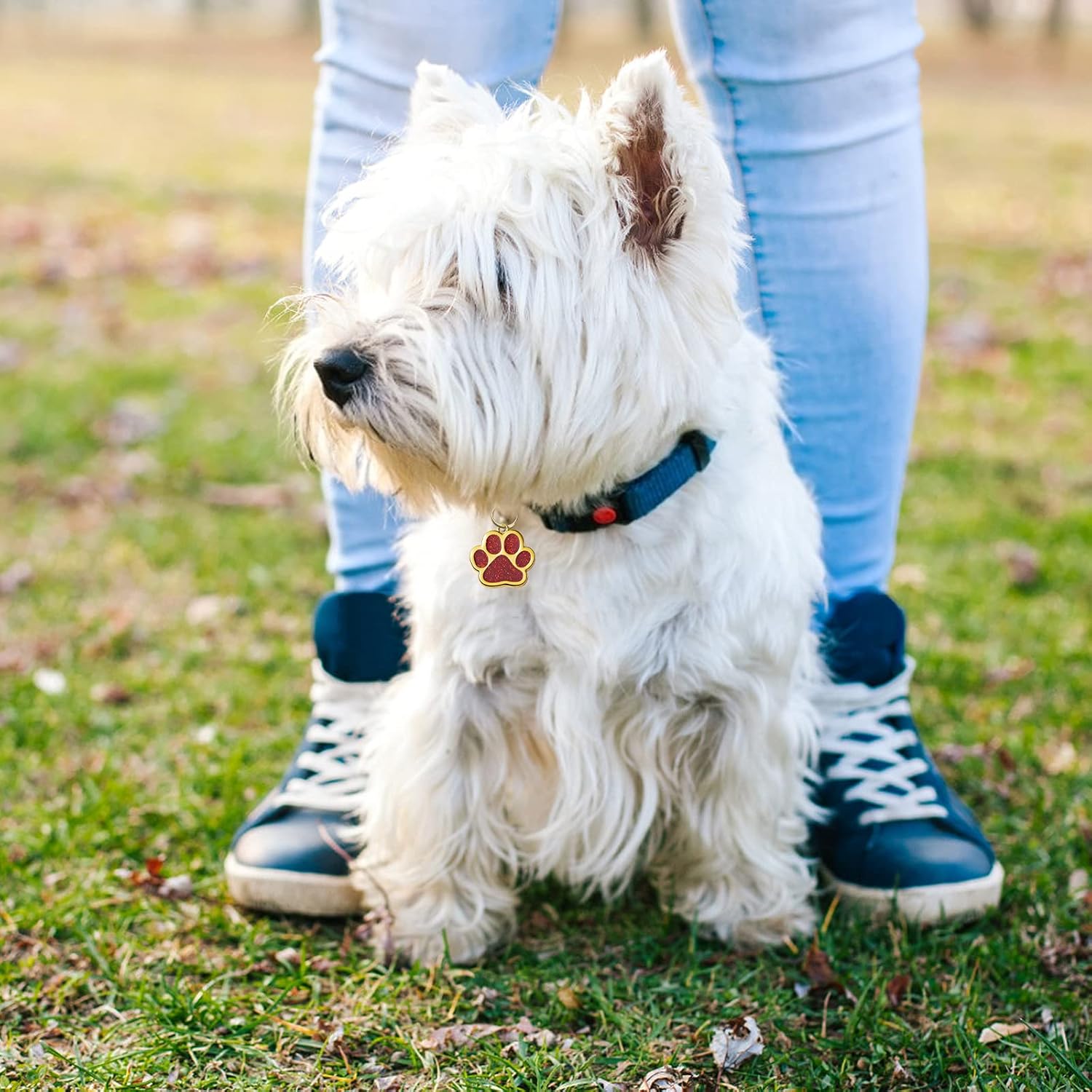 ペットIDタグ、犬用の8つのPCS亜鉛合金刻印名札 8つのPCSキーリングが付いたゴールデンポープリント犬のネームタグ猫犬の子犬のために、足の形