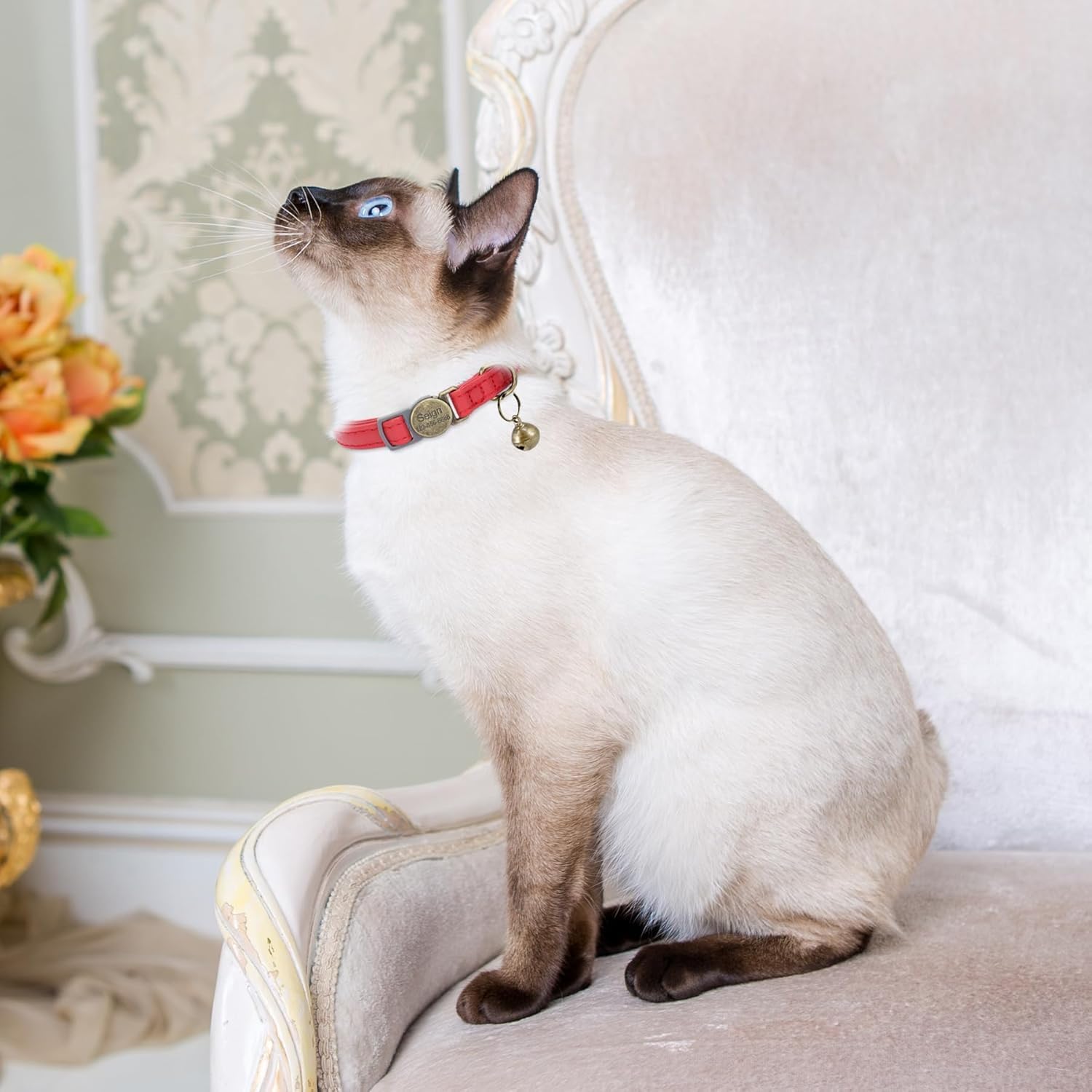 猫の首輪 革 迷子札付き 首輪 名前入れ可能 トレーニング首輪 彫刻 中型猫・大型猫用 猫 首輪 サイズ調節可能 ペット用品 ハネス 柔らかい革 軽量 通気クッション おしゃれでかわいい レザー彫刻