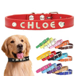 犬首輪 迷子札 名入れ刻印無料 犬用訓練首輪 小型・中型・大型犬対応 サイズ調節可能 革 レザー彫刻 超軽量 通気パッド おしゃれ かわいい ペット用品 ハーネス