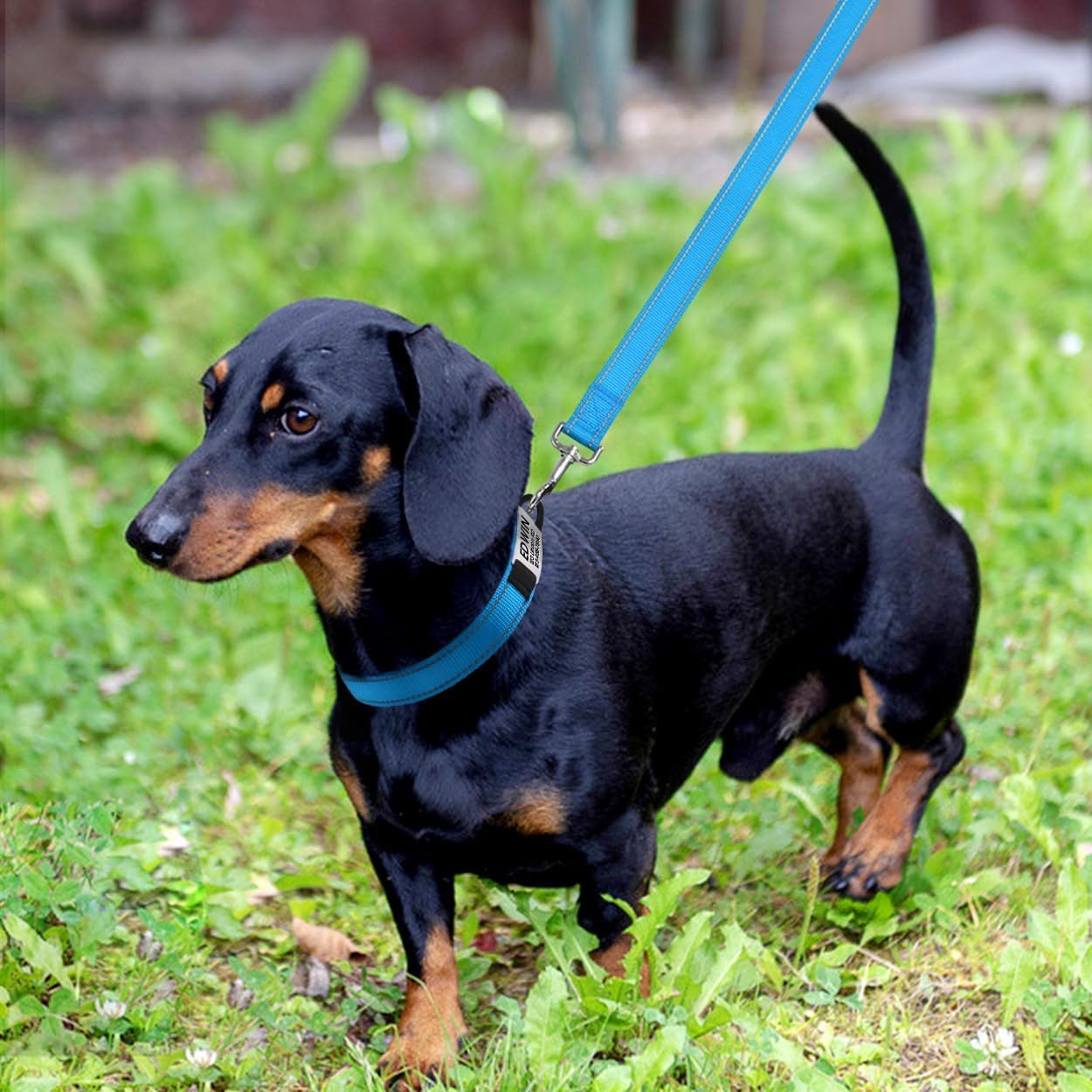 犬首輪 犬 首輪 反射 名入れ 刻印 夜 散歩 ベーシック首輪 ナイロン サイズ調節可能 ペット用品 発光 猫 犬の首輪 犬用訓練首輪 迷子札 小型、中型、大型犬用メッシュ素材 超軽量 通気パッド おしゃれ かわいい レザー彫刻