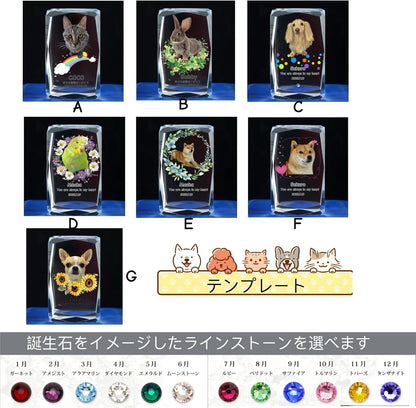 ペット位牌 クリスタル 写真 カラー 誕生石 名入れ ペットメモリアル 仏具 遺影 手元供養 ペットメモリアル お位牌 思い出 ダイヤ かわいい キラキラ 犬 猫 うさぎ インコ 小動物 ハムスター