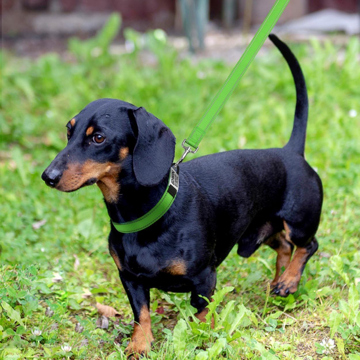 犬首輪 犬 首輪 反射 名入れ 刻印 夜 散歩 ベーシック首輪 ナイロン サイズ調節可能 ペット用品 発光 猫 犬の首輪 犬用訓練首輪 迷子札 小型、中型、大型犬用メッシュ素材 超軽量 通気パッド おしゃれ かわいい レザー彫刻