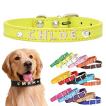 犬首輪 迷子札 名入れ刻印無料 犬用訓練首輪 小型・中型・大型犬対応 サイズ調節可能 革 レザー彫刻 超軽量 通気パッド おしゃれ かわいい ペット用品 ハーネス