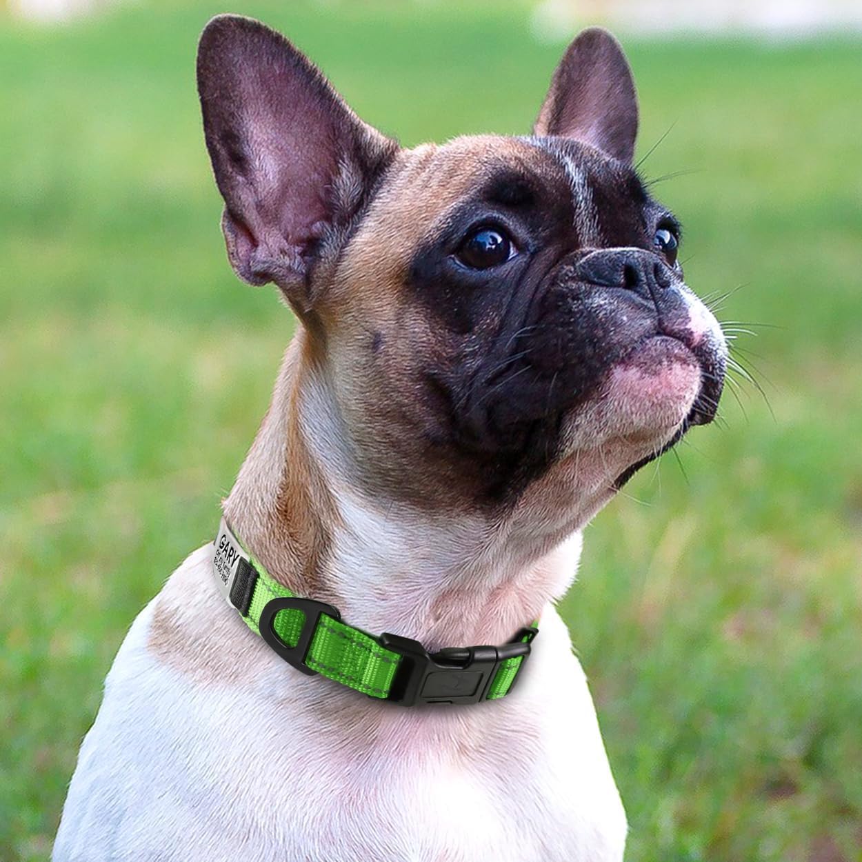 犬首輪 犬 首輪 反射 名入れ 刻印 夜 散歩 ベーシック首輪 ナイロン サイズ調節可能 ペット用品 発光 猫 犬の首輪 犬用訓練首輪 迷子札 小型、中型、大型犬用メッシュ素材 超軽量 通気パッド おしゃれ かわいい レザー彫刻