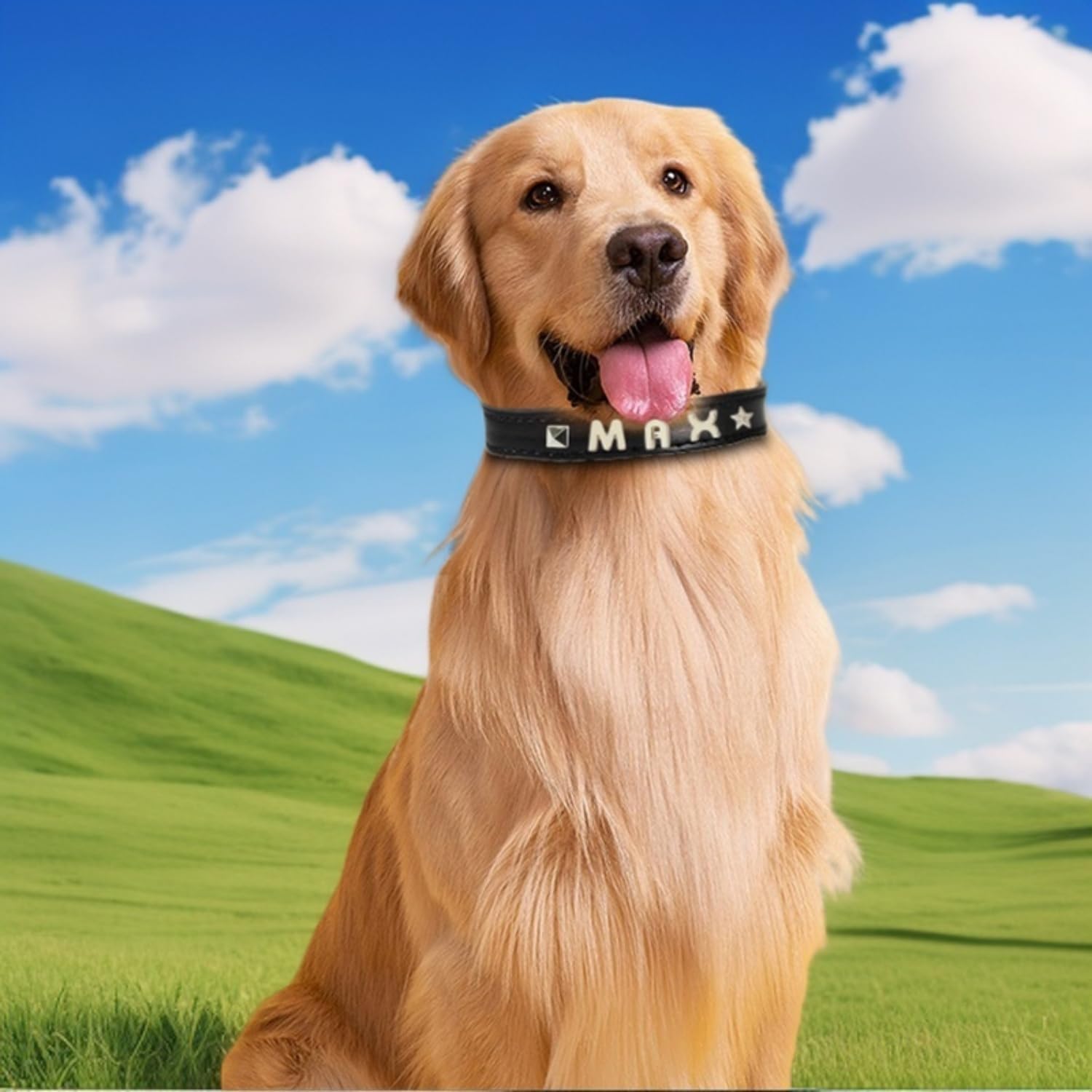 犬 首輪 名入れ イニシャル 犬首輪 革製 名前入れ おしゃれ かわいい カスタム 迷子札 小型犬 中型犬 大型犬 いぬ 柔らかい 迷子防止