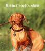 犬 迷子札 ネームプレート｜シリコン製 軽量 防水 静音 無料刻印対応 (名前・電話番号・住所)｜丸型 迷子タグ 8デザイン｜猫 ペット用 安全 落下防止 首輪 アクセサリー 小型犬 中型犬 大型犬