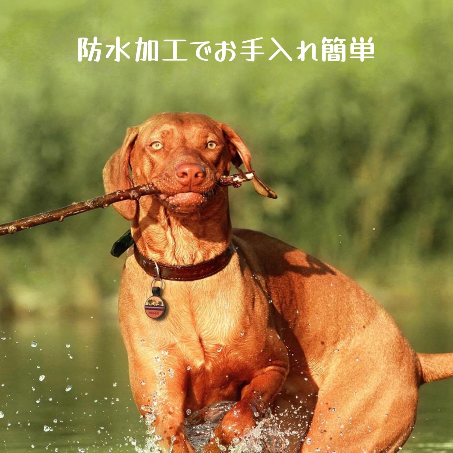 犬 迷子札 ネームプレート｜シリコン製 軽量 防水 静音 無料刻印対応 (名前・電話番号・住所)｜丸型 迷子タグ 8デザイン｜猫 ペット用 安全 落下防止 首輪 アクセサリー 小型犬 中型犬 大型犬