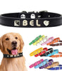 犬首輪 迷子札 名入れ刻印無料 犬用訓練首輪 小型・中型・大型犬対応 サイズ調節可能 革 レザー彫刻 超軽量 通気パッド おしゃれ かわいい ペット用品 ハーネス
