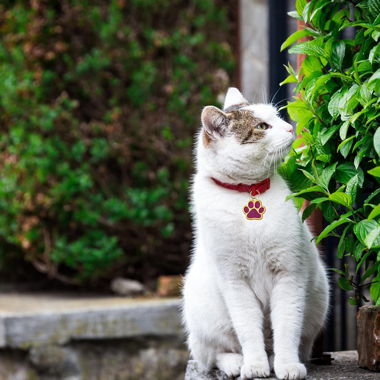 HACRAHO ペットIDタグ、犬用の8つのPCS亜鉛合金刻印名札 8つのPCSキーリングが付いたゴールデンポープリント犬のネームタグ猫犬の子犬のために、足の形