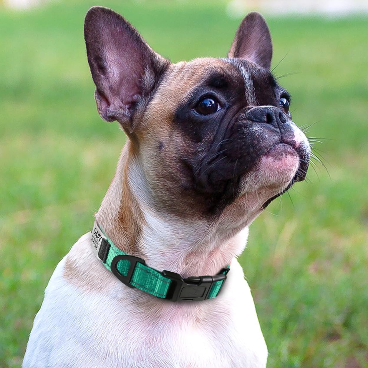 犬首輪 犬 首輪 反射 名入れ 刻印 夜 散歩 ベーシック首輪 ナイロン サイズ調節可能 ペット用品 発光 猫 犬の首輪 犬用訓練首輪 迷子札 小型、中型、大型犬用メッシュ素材 超軽量 通気パッド おしゃれ かわいい レザー彫刻