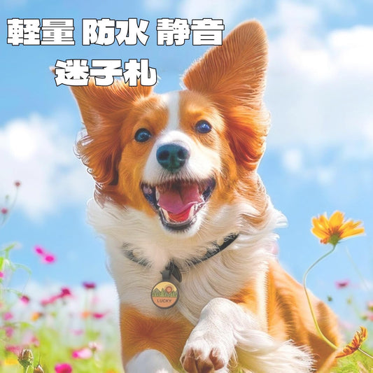 犬 迷子札 ネームプレート｜シリコン製 軽量 防水 静音 無料刻印対応 (名前・電話番号・住所)｜丸型 迷子タグ 8デザイン｜猫 ペット用 安全 落下防止 首輪 アクセサリー 小型犬 中型犬 大型犬