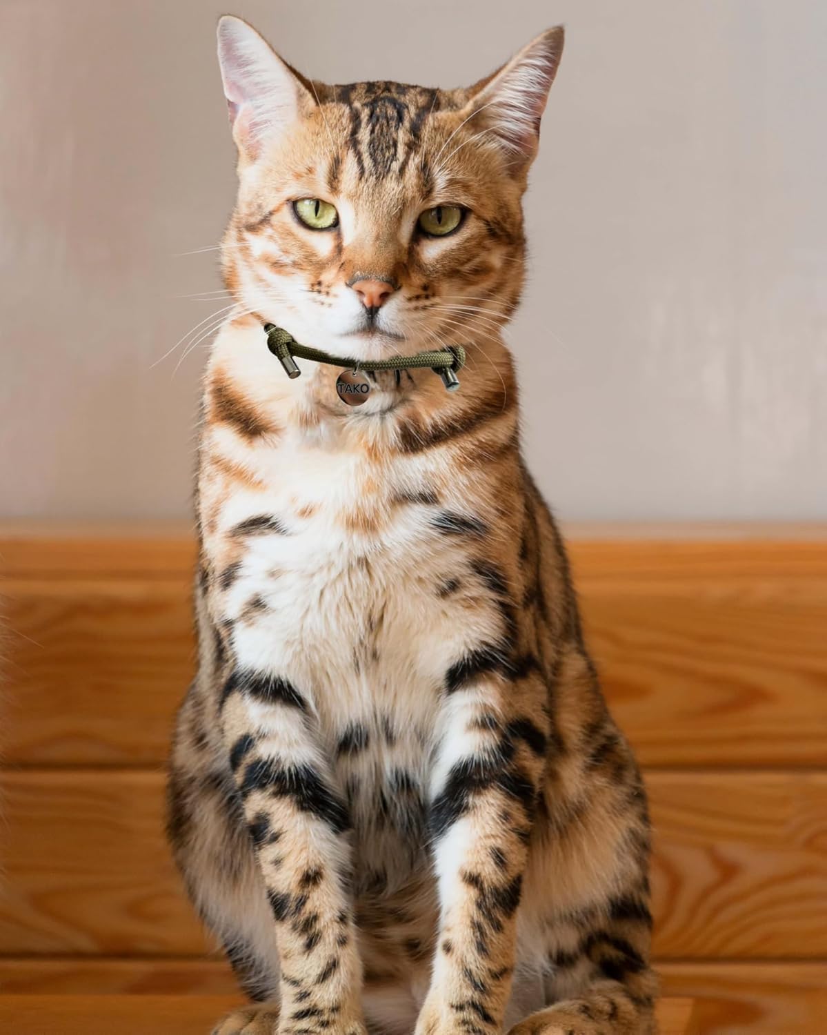 猫の首輪 名前刻印 猫用チェーン 小型猫・中型猫・大型猫用 猫 首輪 サイズ調節可能 速乾 ペット用品 ウサギ おしゃれでかわいい レザー彫刻