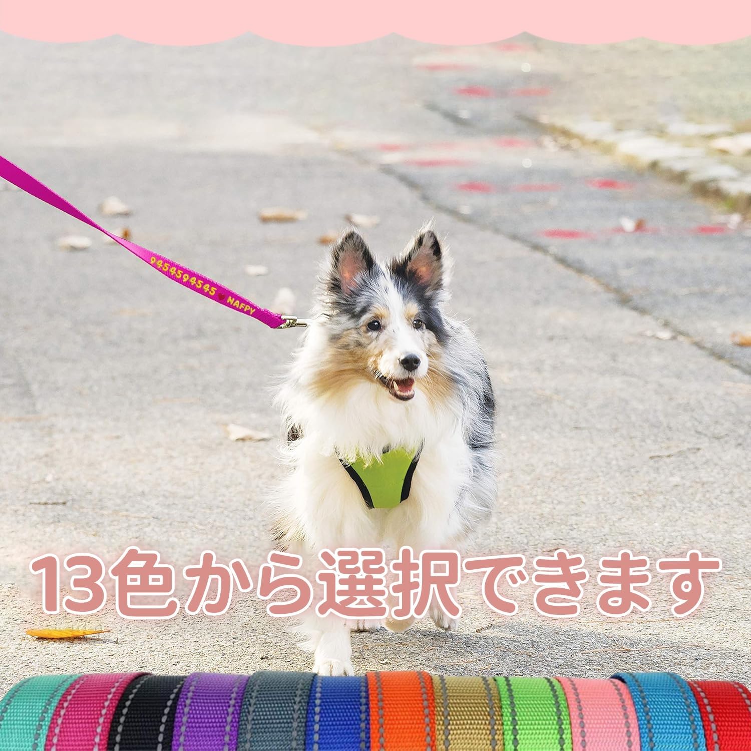 犬用リード 名前電話番号刺繍可能 快適ハンドル 反射材付き ナイロン製 13色9サイズ 小型犬から大型犬まで 夜間散歩 迷子防止