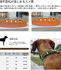 本革 犬首輪 迷子札 猫用 首輪 名入れ プレミアム オーダーメイド 手仕上げ ペットのお名前、連絡電話 刻印 IDタグ 小型 中型 大型犬7色 XS-L サイズ調整可能 軽量 ファッション