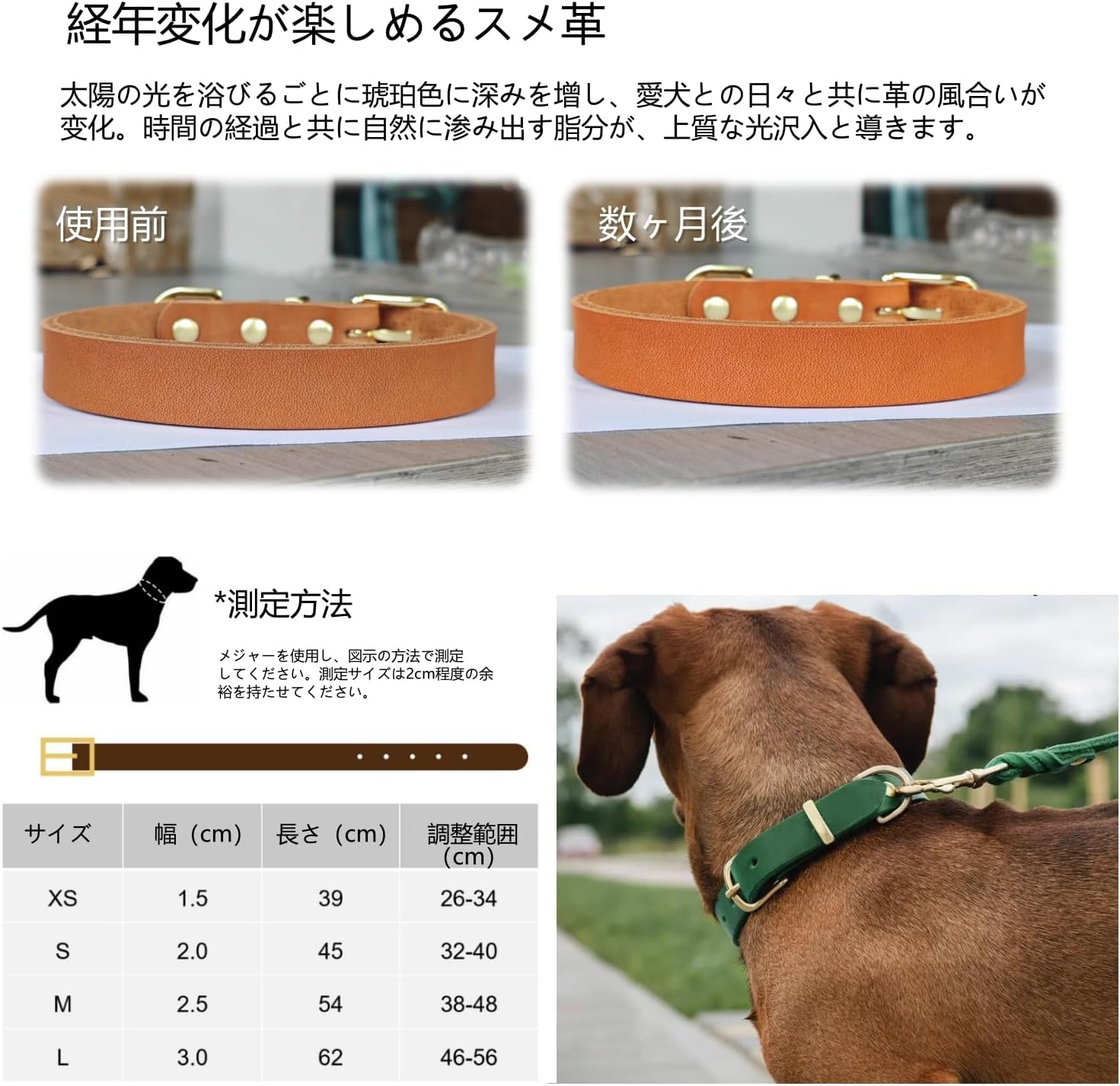 本革 犬首輪 迷子札 猫用 首輪 名入れ プレミアム オーダーメイド 手仕上げ ペットのお名前、連絡電話 刻印 IDタグ 小型 中型 大型犬7色 XS-L サイズ調整可能 軽量 ファッション