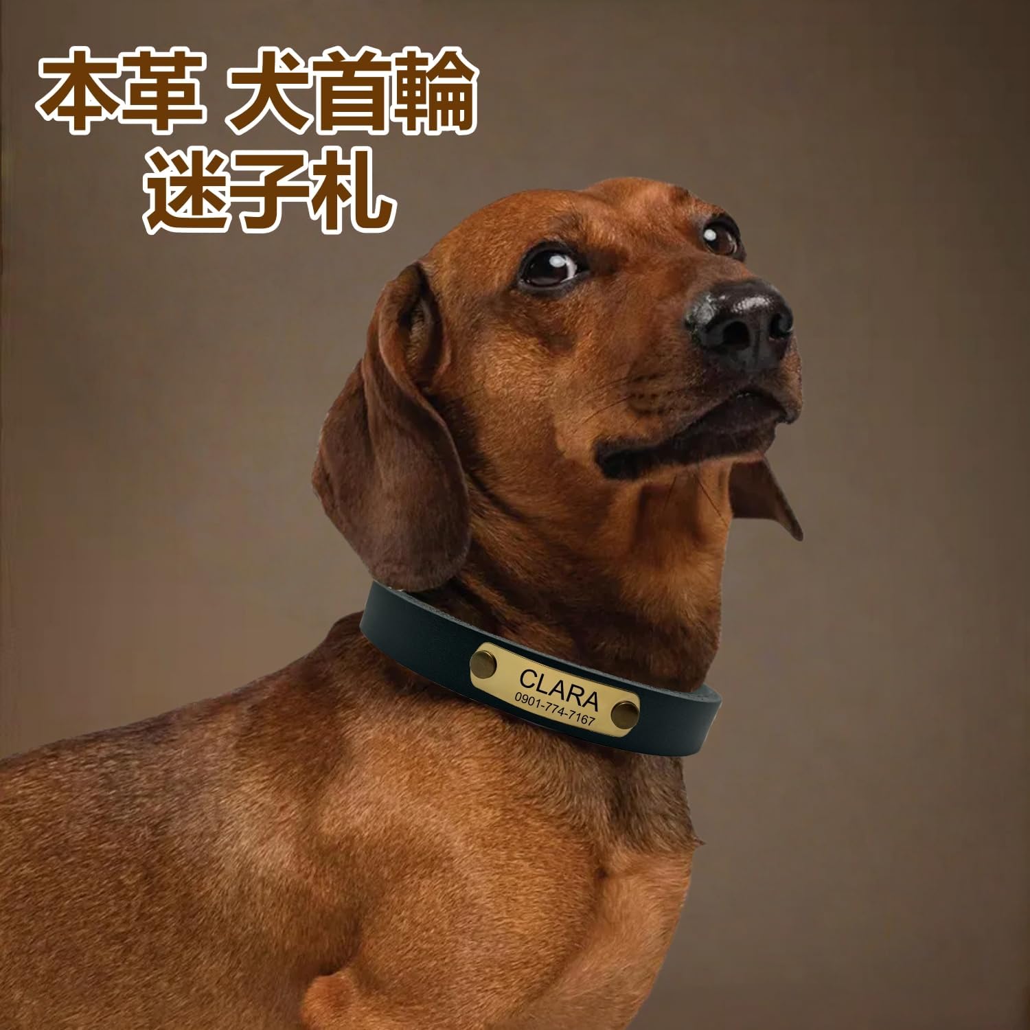 本革 犬首輪 迷子札 猫用 首輪 名入れ プレミアム オーダーメイド 手仕上げ ペットのお名前、連絡電話 刻印 IDタグ 小型 中型 大型犬7色 XS-L サイズ調整可能 軽量 ファッション