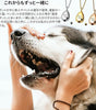 [snuggle snout] 遺骨ペンダント ステンレス製 防水 ペットロス 遺骨カプセル 手元供養 メモリアル 遺骨アクセサリー ペット骨入れ 分骨 遺骨入れネックレス 記念ジュエリー