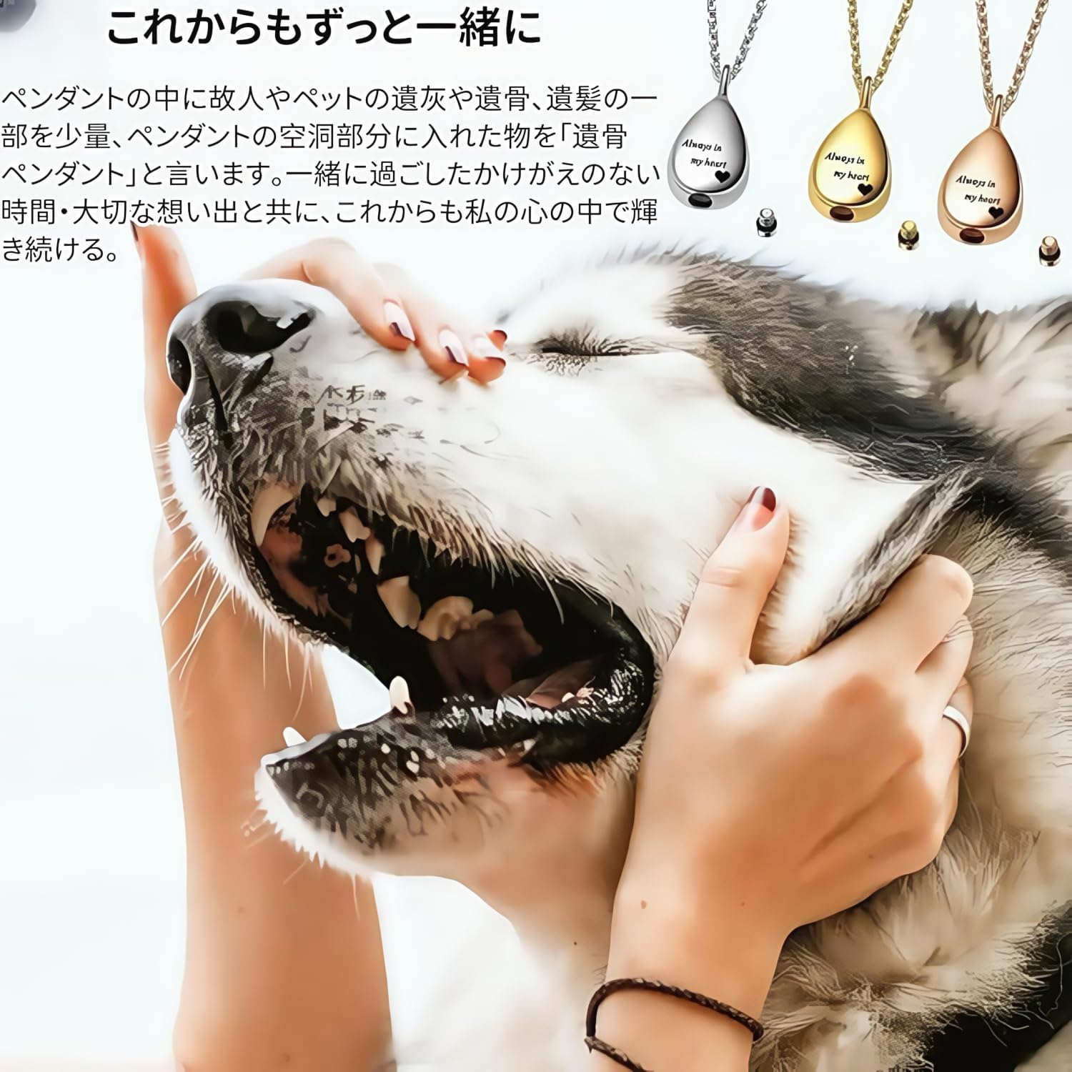 [snuggle snout] 遺骨ペンダント ステンレス製 防水 ペットロス 遺骨カプセル 手元供養 メモリアル 遺骨アクセサリー ペット骨入れ 分骨 遺骨入れネックレス 記念ジュエリー