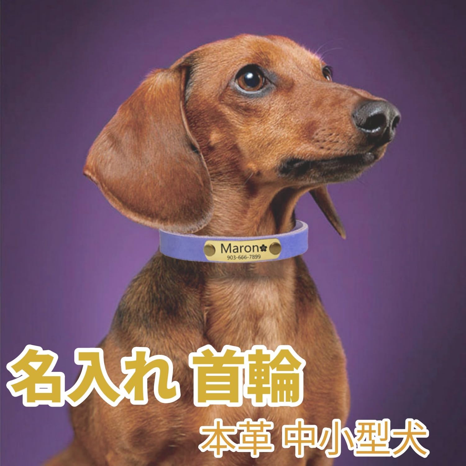 本革首輪 名入れ 中小型犬 名前入れ 無料 電話番号 ID 絵文字 迷子防止 手仕上げ ペットの首輪 丈夫 軽量 調節可能 8色3サイズ 小型犬 中型犬 おしゃれ 犬 猫 うさぎ