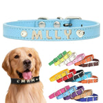 犬首輪 迷子札 名入れ刻印無料 犬用訓練首輪 小型・中型・大型犬対応 サイズ調節可能 革 レザー彫刻 超軽量 通気パッド おしゃれ かわいい ペット用品 ハーネス